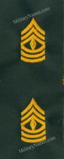 OLIVE DRAB COLLAR SEW-ON RANKS W/ GOLD THREAD
