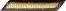 FEMALE SERVICE STRIPES