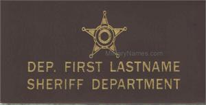 LEO LEATHER FLIGHT BADGES
